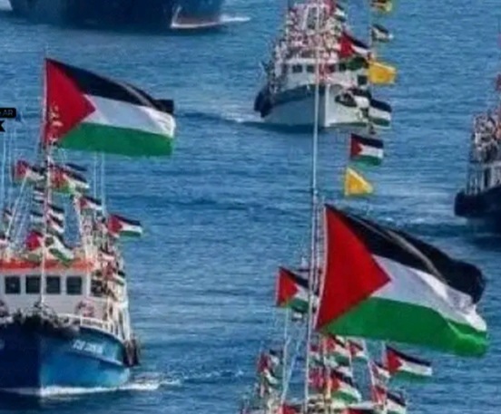 البحرية الإسرائيلية تسيطر على 7 سفن من أسطول إلى غزة بعيدًا عن سواحلها