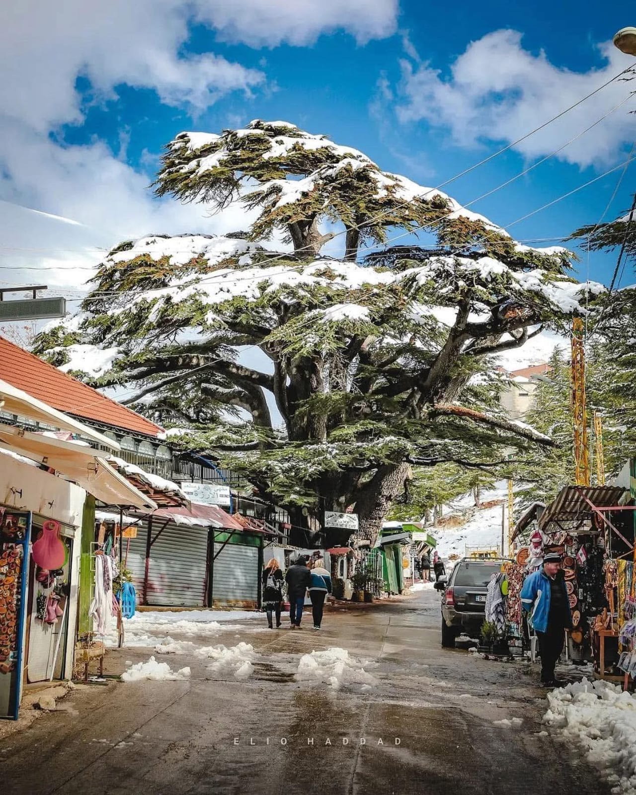 الغاء حجوزات.. ماذا ايضا في اسرار الصحف الصادرة اليوم في بيروت؟